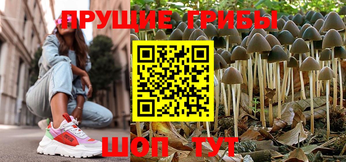 Псилоцибиновые грибы прущие грибы Ачинск