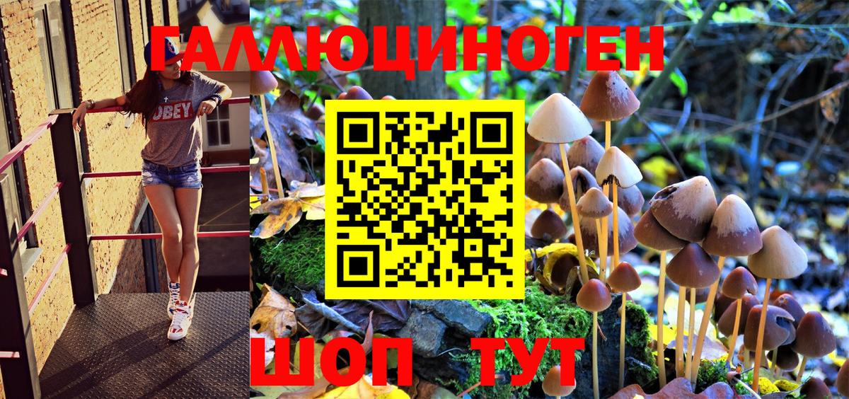 Псилоцибиновые грибы Psilocybine cubensis  Вход с VPN  Галлюциногенные грибы MAGIC MUSHROOMS  Ачинск 